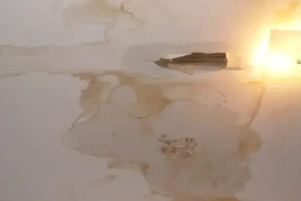 A ceiling stained around a light fixture after an attic AC unit overflowed