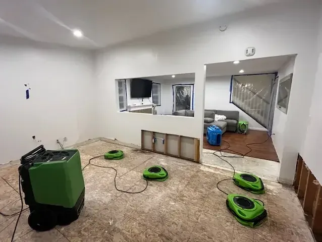 Dehumidifiers and air movers running together to dry out a room